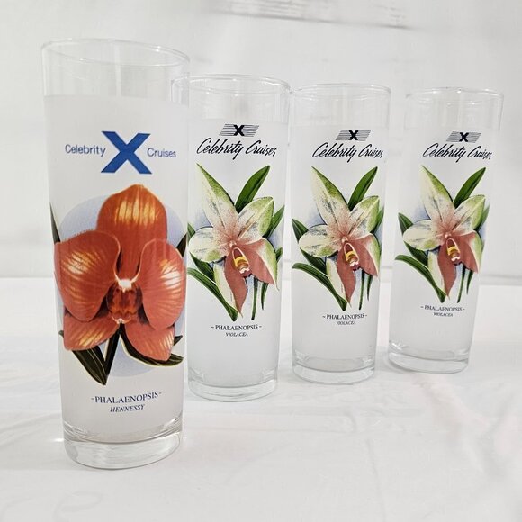 Celebrity Cruises Orchids Frosted High Ball Glasses Drink Recipe – Set of 4 - Picture 12 of 16